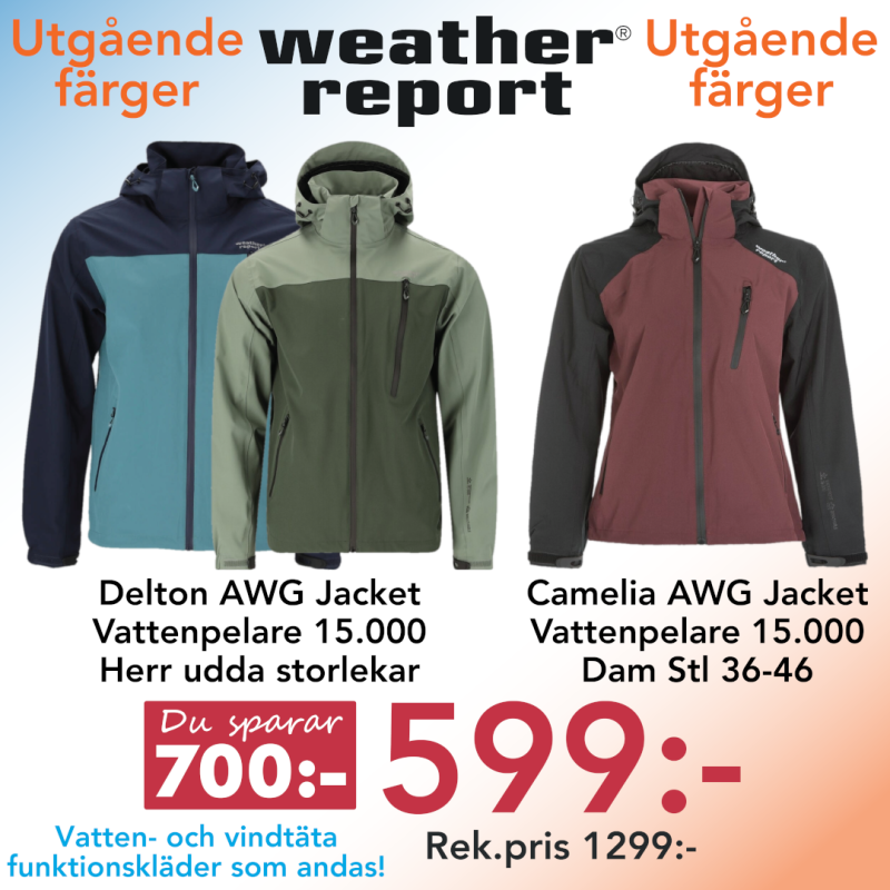 20251015_klipp_weather_report_delton_camelia